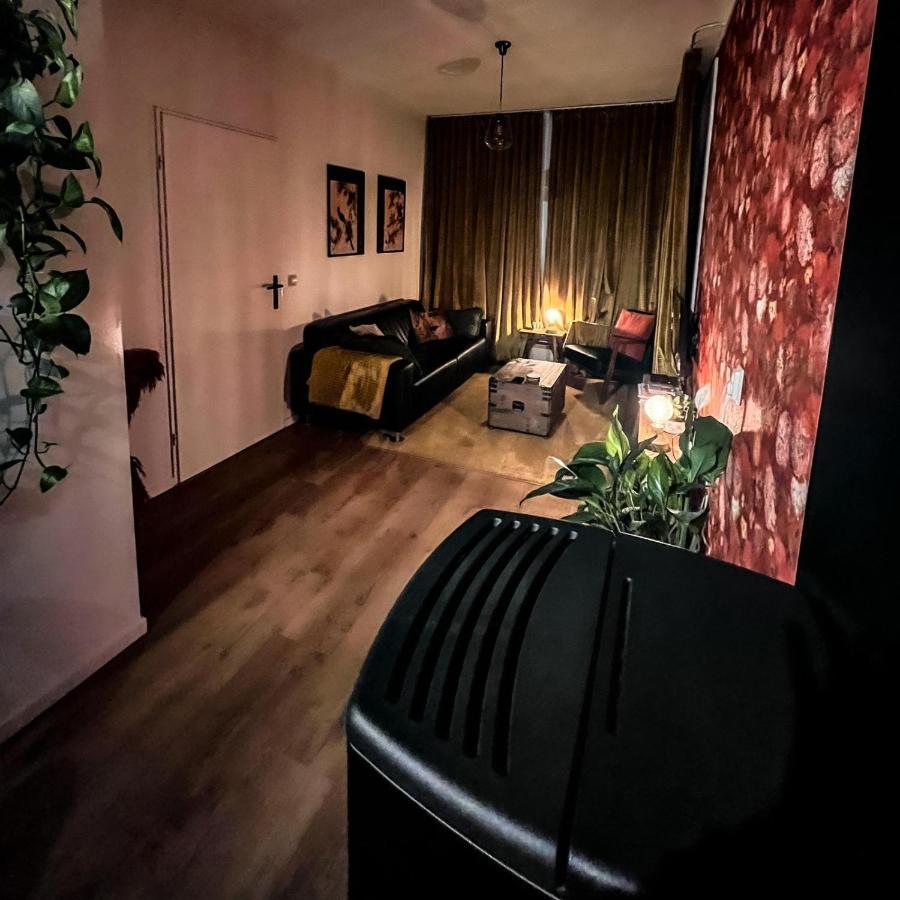 أسين B & B Twijfelveld المظهر الخارجي الصورة