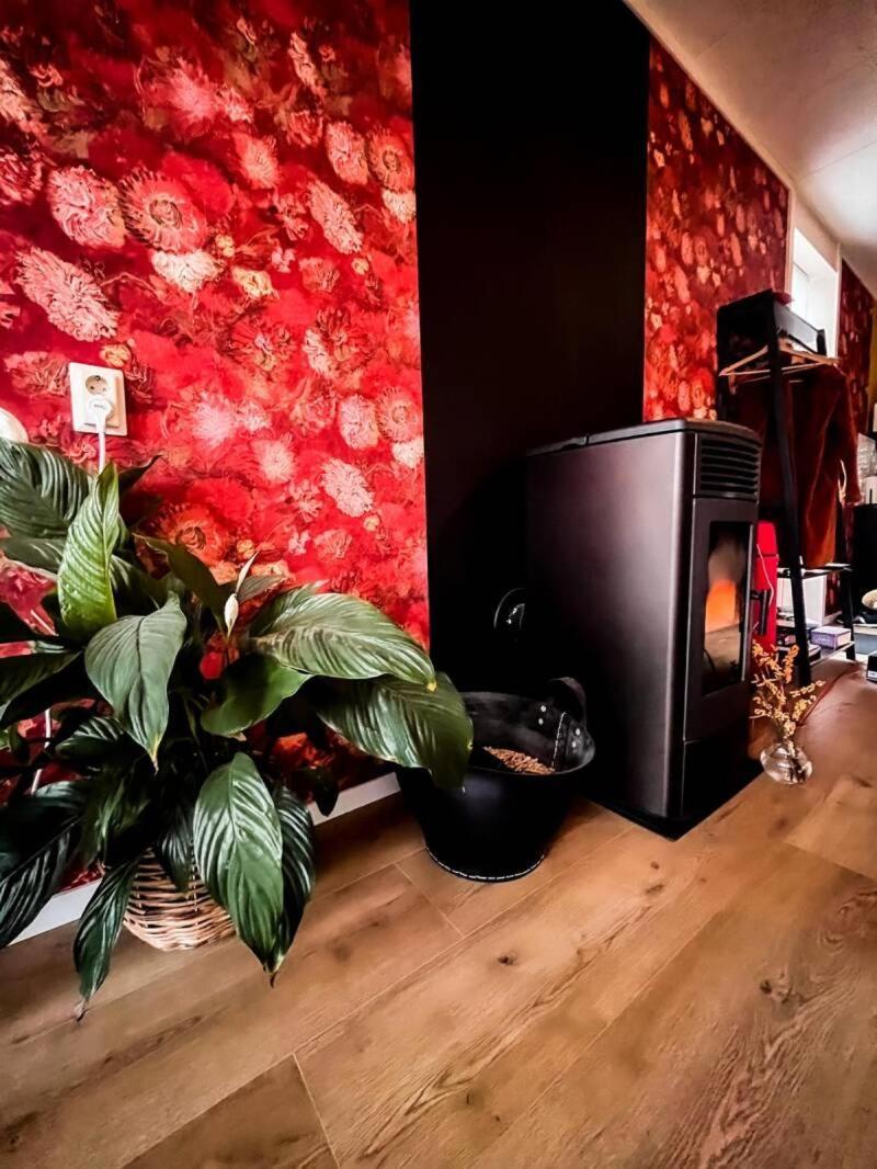 أسين B & B Twijfelveld المظهر الخارجي الصورة